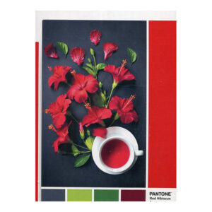 Παζλ 1000 Pantone Κοκκινος Ιβισκος 1260-39494